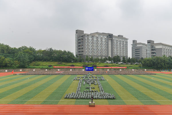 6.jpg 6.jpg